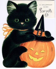 a black cat sitting on top of a pumpkin with a witch's hat around its neck