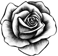 a black and white drawing of a rose