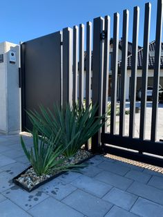 there is a plant that is in front of the fence