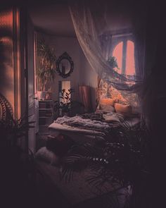 an image of a bedroom setting in the dark with sunlight coming through the window and plants on the bed