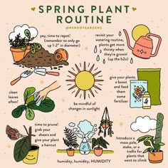 a poster with plants and gardening related items on it's side, including the words spring plant routine