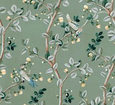 a green wallpaper with birds and flowers on it's branches in front of a blue background