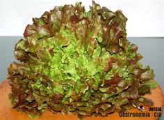 a large green plant sitting on top of a wooden table