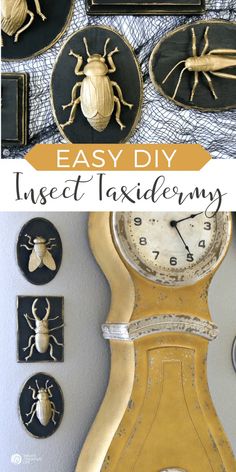 an old clock with some bugs on it and the words easy diy insect taxidermy