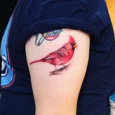 a red bird tattoo on the left arm