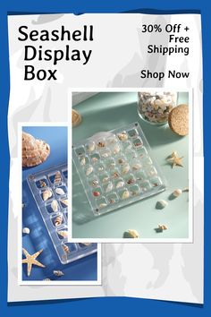 an advertisement for seashell display box