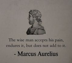 the wise man accepts his pain, endures it, but does not add to it