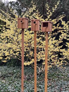 three wooden posts with birdhouses on them in front of a bush and yellow flowers