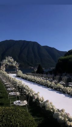 an outdoor wedding set up with white flowers and chairs