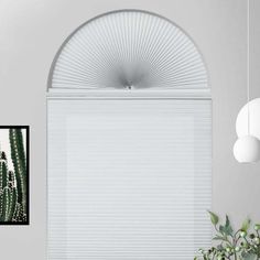 an arched window with white roller shades over it and a cactus plant in the foreground