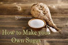 how to grow sugar bees and make your own sugar