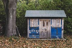 an outhouse in the woods with leaves on the ground