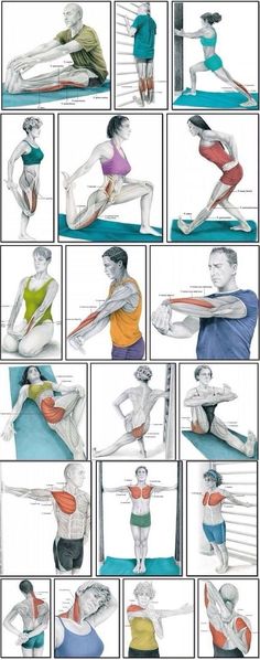 an image of a woman doing exercises on her back and arms in different positions, including the