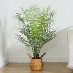 a potted plant sitting on top of a wooden floor