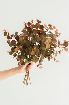 Terracotta Seeded Eucalyptus Terracotta Wedding Decor, Banyan Leaf, Handmade Bouquet, Filler Flowers, Anthurium Flower, Flowers Real, Eucalyptus Branches, Seeded Eucalyptus, Foam Roses