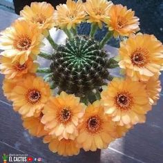 an arrangement of yellow flowers arranged in a circle on top of a wooden table next to a window