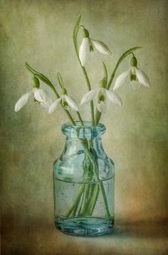 some white flowers are in a glass vase