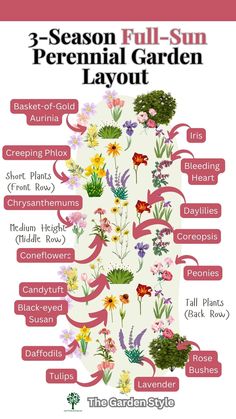 the 3 - season full - sun perennial garden layout is shown in pink and white