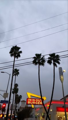 palm trees line the street in front of an inn - out burger restaurant at dusk