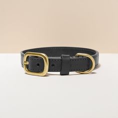 a black leather dog collar with gold buckles on a white surface, against a beige background