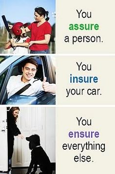 four different pictures with the same man and woman in their cars, one is holding a dog