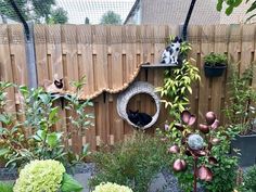 two cats sitting on top of a cat tree in a backyard area with flowers and plants