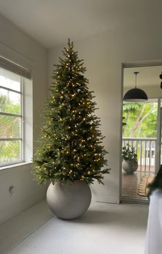 a large potted christmas tree sitting in the corner of a room next to a door