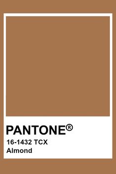 the pantone color is shown in brown