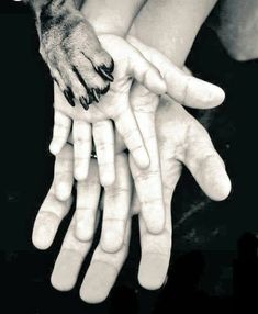 black and white photograph of two hands holding each other