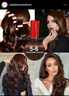 Hair Color Without Declare, Igora Royal Chocolate Brown, Chestnut Brunette Hair Color, Igora Hair Color Brown, Igora Color Chart, Neutral Chocolate Brown Hair, Wella Illumina Formulas, Pelo Color Chocolate