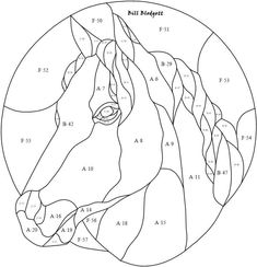 a horse's head is shown in the circle with numbers to color on it