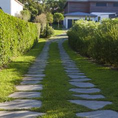 a stone path in the grass between two houses