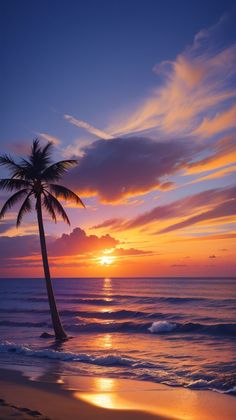 a palm tree on the beach at sunset