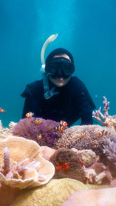 a person in a scuba suit and goggles swimming over corals