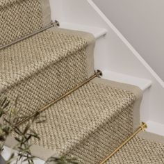 a close up view of some stairs with carpet on the bottom and one handrail