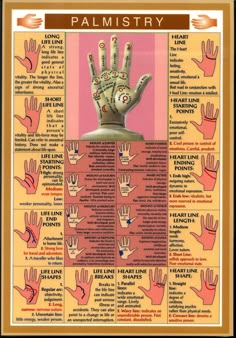 http://kismat.hubpages.com/hub/Palmistry--An-Insight-Of-this-Art Magia Das Ervas