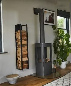 a living room with a wood burning stove next to a potted plant