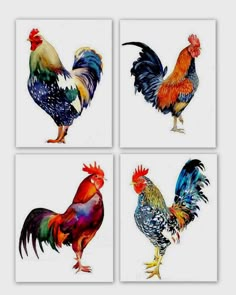 four different colored roosters are shown in this set of four pictures, each with their own color scheme