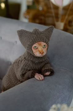 a cat sitting on top of a couch wearing a sweater