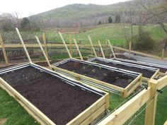 several wooden raised garden beds with plants growing in the ground and on top of each other