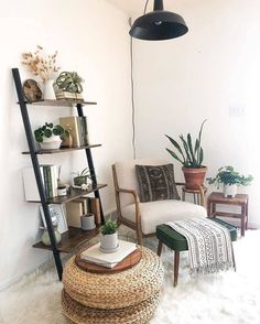 a living room filled with lots of furniture and plants on top of bookshelves