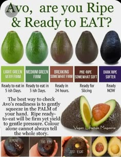 an avocado is shown with the words avo, are you ripe and ready to eat?