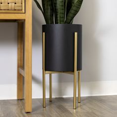 a potted plant sitting on top of a wooden floor next to a table and chair