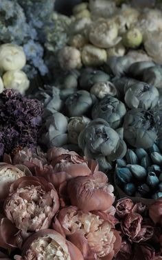 a bunch of flowers that are sitting on the ground in some kind of display case