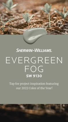 the evergreen fog logo is shown in front of an image of some plants