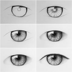 an image of different types of eyes