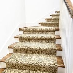 a set of stairs with leopard print carpet