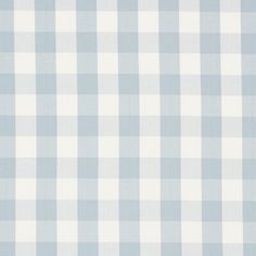 a blue and white checkered shirting fabric