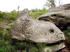 a large rock in the middle of some grass and rocks with holes in it's surface