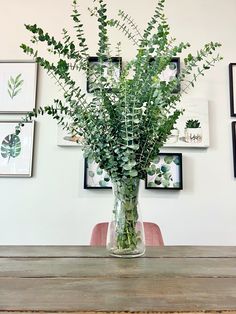 a vase filled with lots of green plants on top of a wooden table next to framed pictures